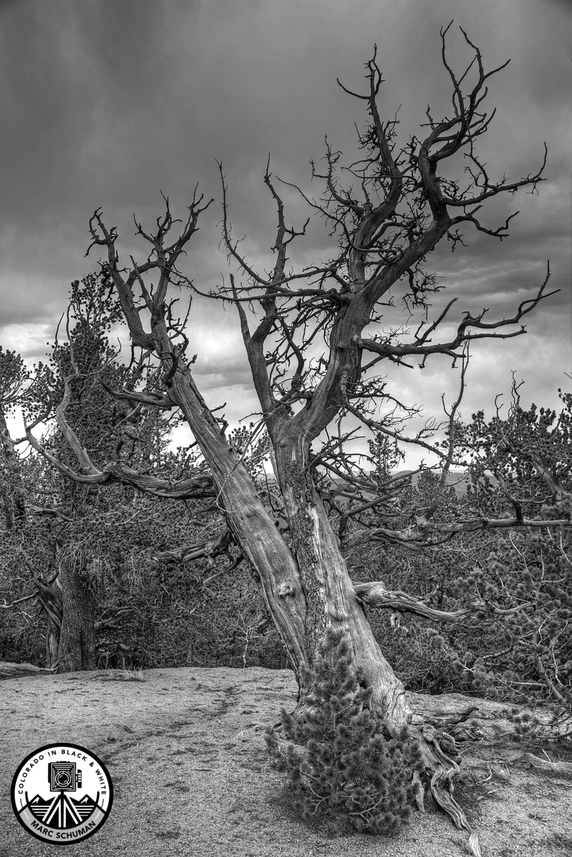 Stunning Colorado Landscape Photography