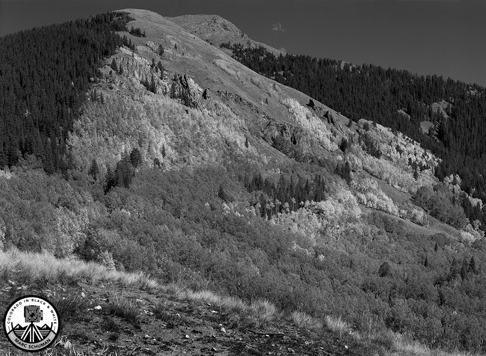 prints made in the darkroom